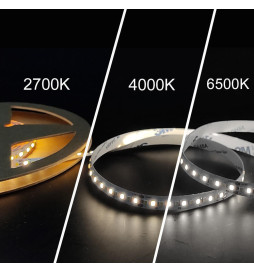 LED-remsa 24V | 240xLED/m | 5m | SMD2025 | CCT | 10W/M | IP20