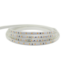 Fita LED 24V | 60xLED/m | 10m | SMD2025 | 30º | 10W/M | IP20 | CRI90