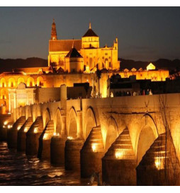 Projecteur LED 100W - New ACTION - OSRAM CHIP DURIS E2835