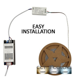 CCT Dual Mini RF Controller 4 Zonen 12A + Fernbedienung