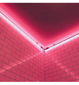 Neón LED Flexible 24V -10W/m - Bobina 50m - 6x12mm - ROSA