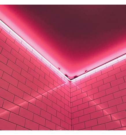 LED Neon 24V - 10W/m - Rulle 50m - 6x12mm  - 6000K