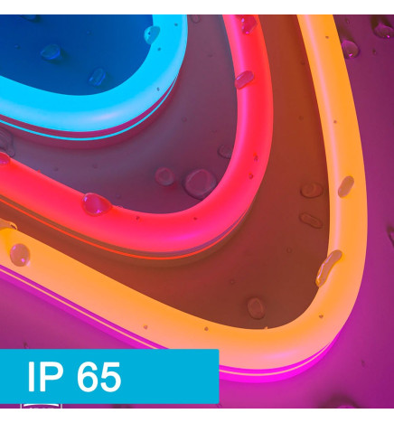 Neon LED flessibile 24V - 10W/m - Bobina 50m - 6x12mm- VIOLA