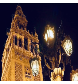 Optisk LED-modul 40W LUMILEDS til gadebelysning