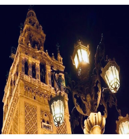 Optisk LED-modul 40W LUMILEDS for gatelys