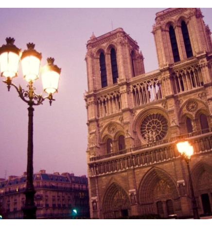 Optisk LED-modul 40W LUMILEDS til gadebelysning