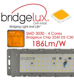 Farola LED WANDA 50W - 4 metros - 6 metros