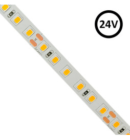 LED Strip 24V | 120xLED/m |...