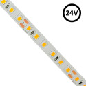 Tira LED 24V | 120xLED/m | 5m | SMD2835 | 1100Lm | 12W/M | IP20