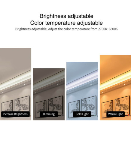 Mini Controlador RF Duplo CCT 4 Zonas 12A + Controlo Remoto