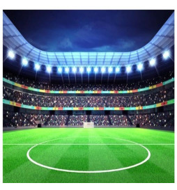 Projetor LED 50W MAGNUM PRO Alumínio  25º