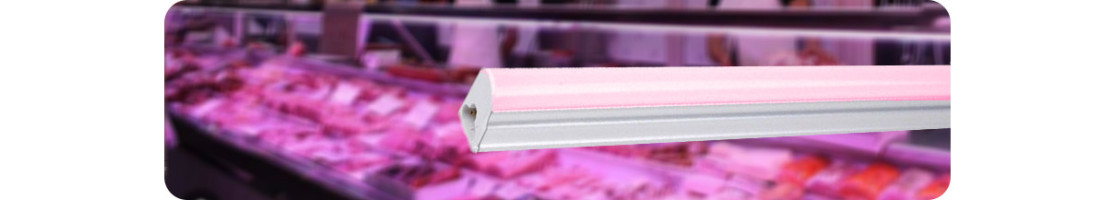 Tubo LED special - Buy LED lighting online